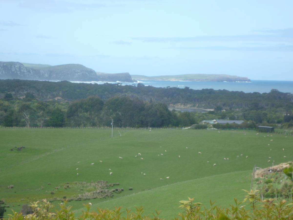 Hilltop Accommodation Catlins Papatowai Extérieur photo