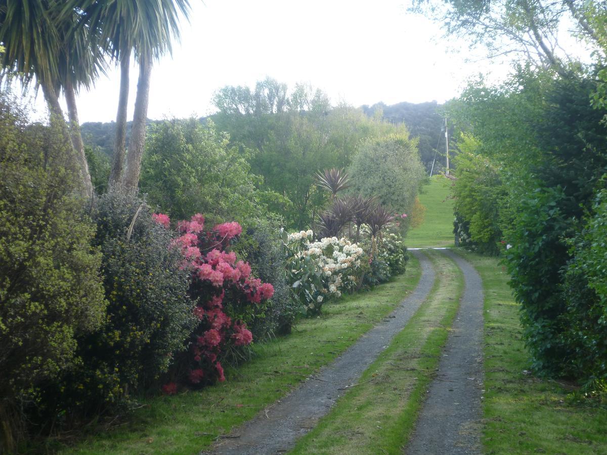 Hilltop Accommodation Catlins Papatowai Extérieur photo